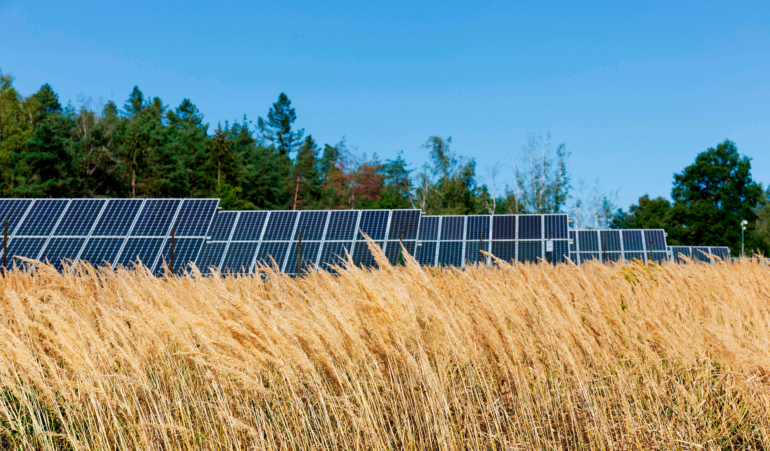 Lee más sobre el artículo La instalación de autoconsumo fotovoltaica para tu explotación agroganadera en Aragón, ¡subvencionada hasta un 65%!